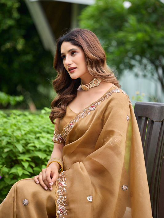 Woman in sitting pose on bench wearing dusty gold sequin floral embroidered tissue silk saree — Chandrikas