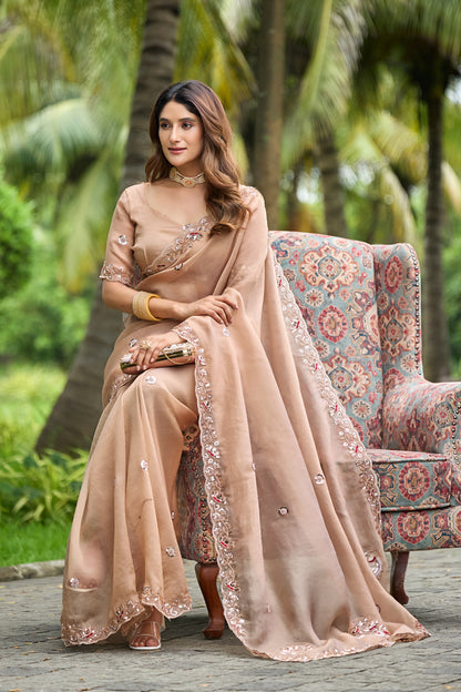 Woman in sitting pose wearing light chicku sequin floral embroidered tissue silk saree — Chandrikas
