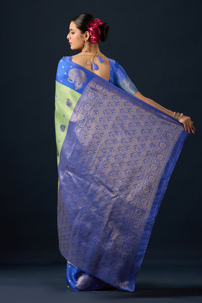 Woman draping light olive green blue silk matka motif border saree showing pallu design — Chandrikas
