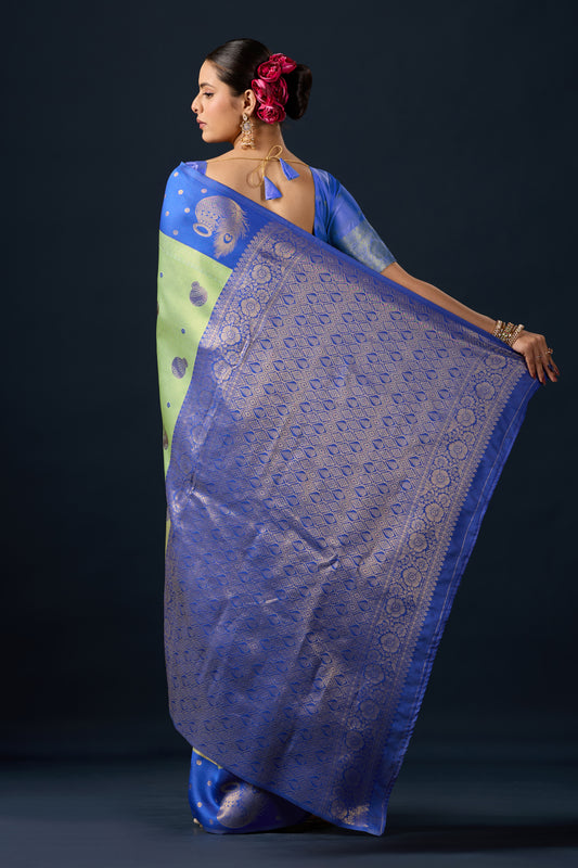 Woman draping light olive green blue silk matka motif border saree showing pallu design — Chandrikas