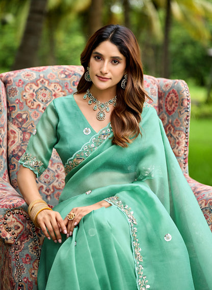 Woman in sitting pose wearing light rama sequin floral embroidered tissue silk saree — Chandrikas