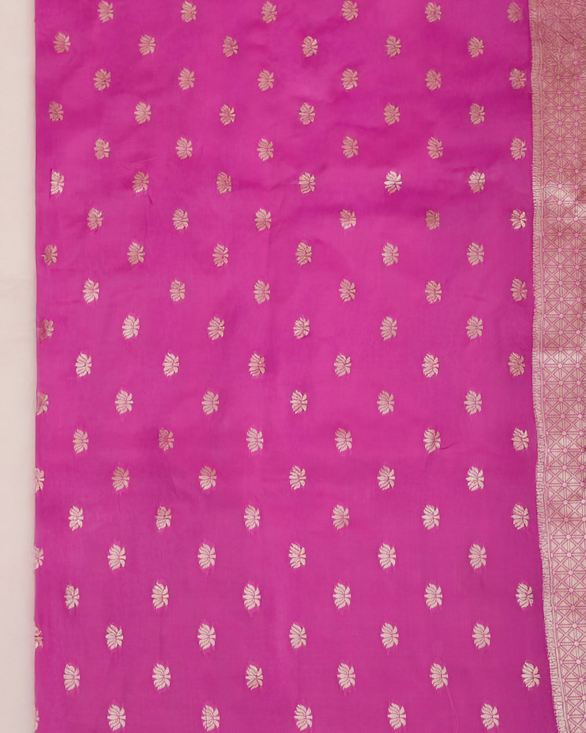 Closeup of Pink Banarasi soft silk saree contrast zari border with paisley and floral vine motifs — Chandrikas