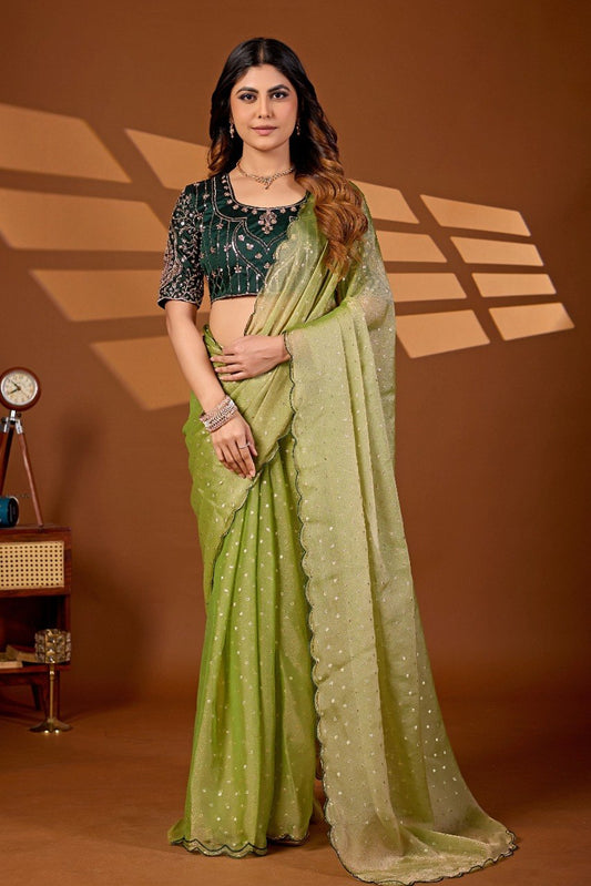 Woman wearing a pista green sequin work chiffon silk saree with embroidered blouse — Chandrikas